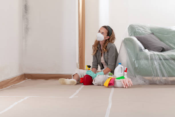 Reliable Basement Mold Remediation contractor in Niles, MI by WQB Mold Removal